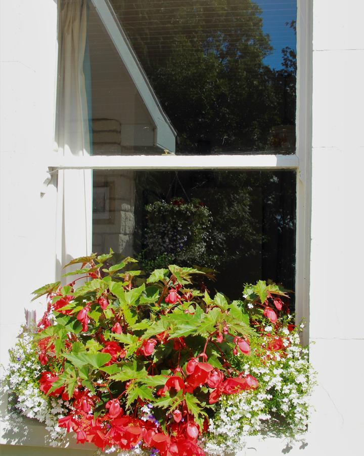 Innishannon Grey Gables Farmhouse B&B المظهر الخارجي الصورة